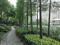 -陈家山荷花公园