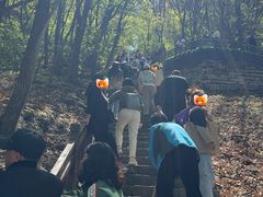 -五女山景区