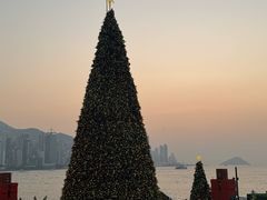 -OZONE 顶楼酒吧(香港丽思卡尔顿酒店)