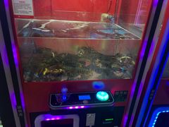 -大玩家(拱墅万达店)