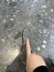 -木北护肤造型