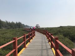 -北海金海湾红树林生态旅游区