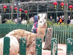 -无锡动物园·太湖欢乐园