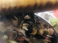 -大锅强·蒸海鲜青岛菜(吾悦广场店)