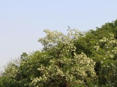 -南京市江宁方山