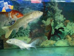 -朋朋修脚(友好广场店)