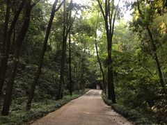 -杭州林泉山庄