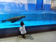 -重庆欢乐海底世界