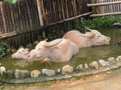 -泉州海丝野生动物世界