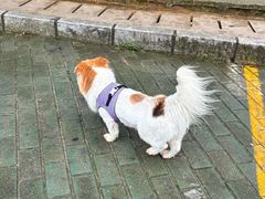 -美人鱼悬崖海景餐厅(鹿嘴山庄店)