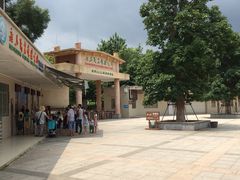 -广东茂名森林公园