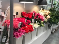 -宜家家居(哈尔滨商场店)