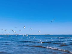 -金梦海湾浴场