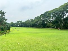 -新加坡总统府