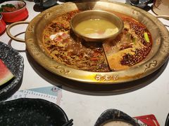-哥老官重庆美蛙鱼头(五角场合生汇店)