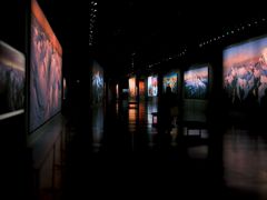 -罗红摄影艺术馆