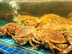 水产区-驻海渔市(置信店)