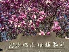 -洛阳市隋唐城遗址植物园