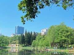 -深圳龙潭公园
