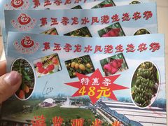 -第五季龙水凤港生态露营农场