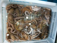 -港畔赶海蒸汽海鲜烧烤自助(仙螺岛店)