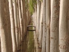 -党河风情线国家水利风景区