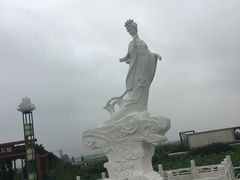 -荷花荡