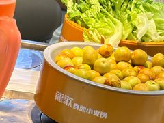 -龍歌自助小火锅(秦淮水游城店)