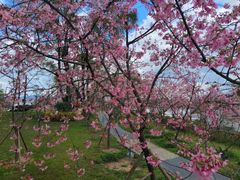 -福建鲤鱼洲酒店