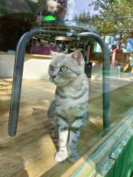 -萌宠亲子动物乐园(槐房万达店)