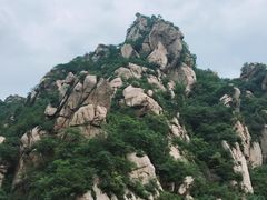 -大岭沟猕猴桃谷风景区