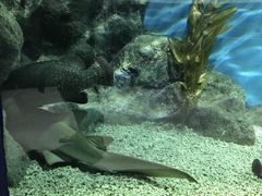 -福州罗源湾海洋世界旅游区