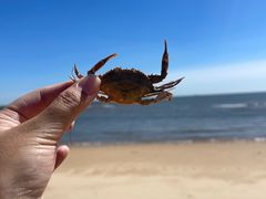 -东戴河风景区-止锚湾
