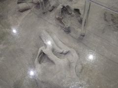-大庆市博物馆