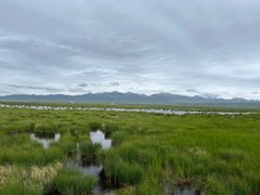 -花湖生态旅游区