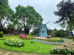 -铁山坪森林公园