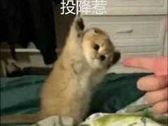 -天空之城·明日世界(南亚店)