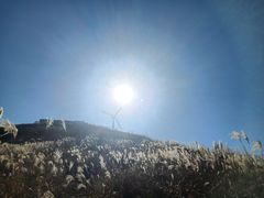 -东白山
