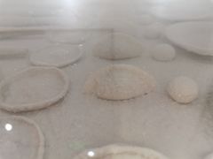 -喜家德虾仁水饺(南山书城店)