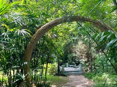 -深圳国际园林花卉博览园