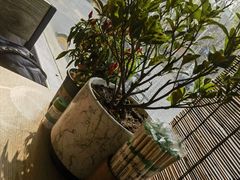 -亩沣记秘汁凉皮·兰州特色