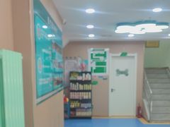 -天使宠物医院·犬猫分诊(彩虹店)