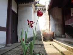 -宁波市保国寺古建筑博物馆