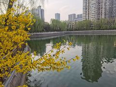 -迎泽公园