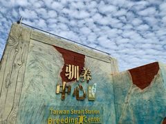 -广东惠东海龟国家级自然保护区
