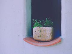 -花迹(富春江东街店)