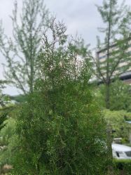 -天津市儿童医院(北辰龙岩院区)