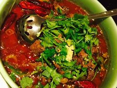 -大众食府