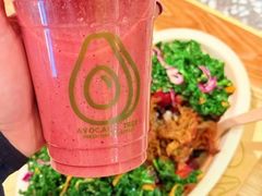 -油梨树AVOCADO TREE(嘉里中心店)