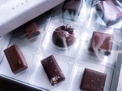 -BLACKSWAN黑天鹅(环球店)